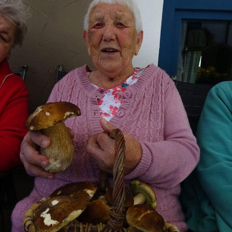 Pilze 11_N_edited.jpg