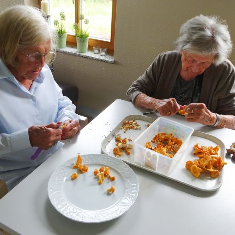 Pilze (2) N_edited.jpg