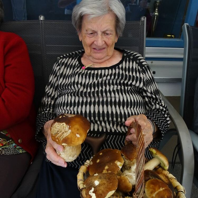 Pilze 2_N_edited.jpg