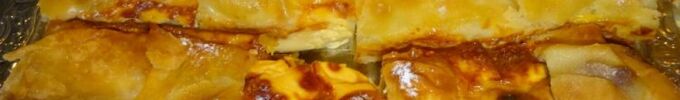 DSC07208.JPG