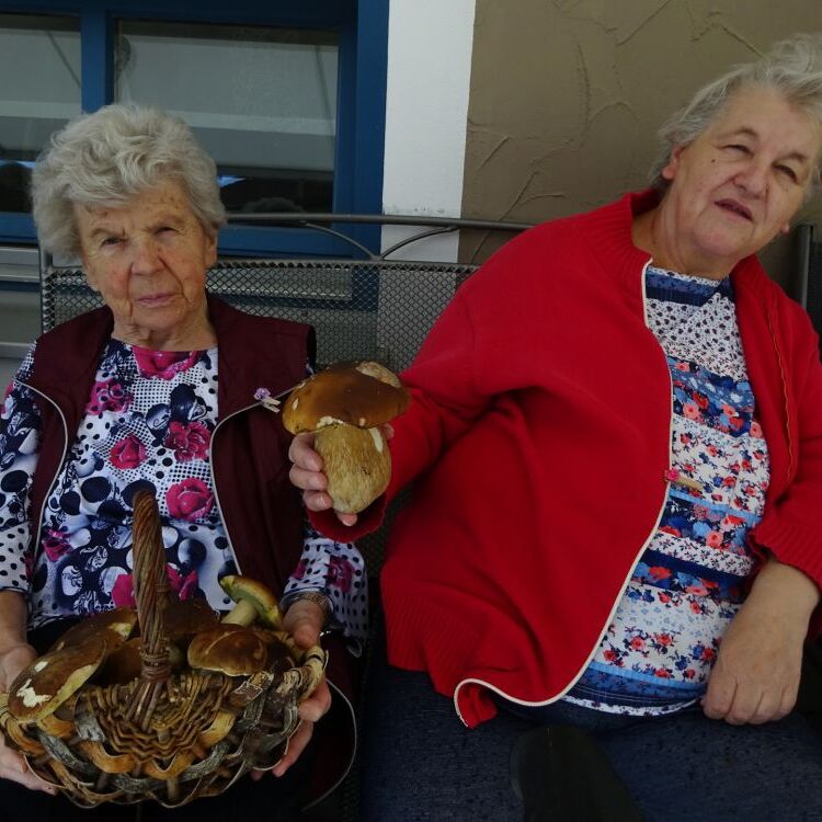 Pilze 5_N_edited.jpg