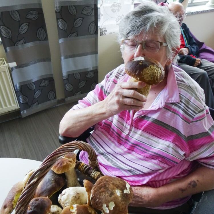 Pilze 12_N_edited.jpg