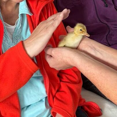 Tierbesuch_3_edited.jpg
