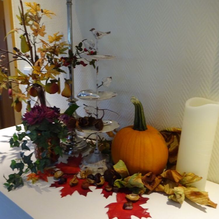 DSC08681.JPG